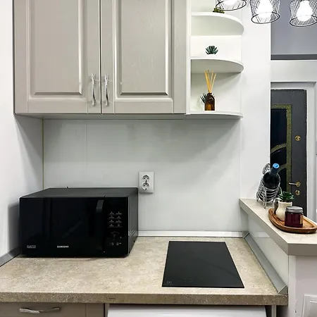 Superior One Bedroom Unirii Square