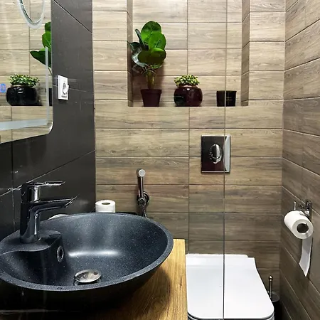 Superior One Bedroom Unirii Square *