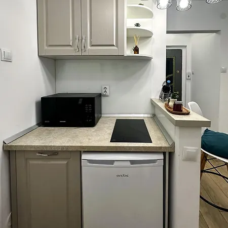 Apartment Superior One Bedroom Unirii Square