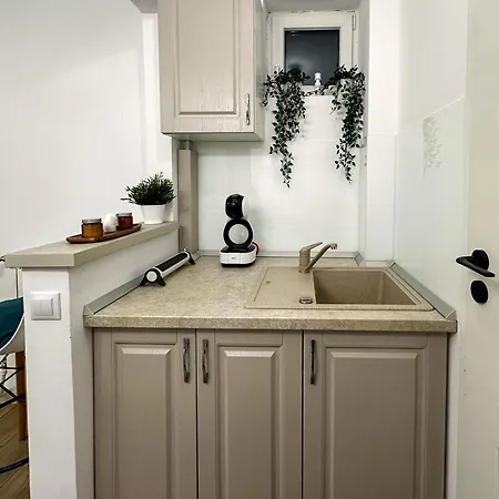 Superior One Bedroom Unirii Square *