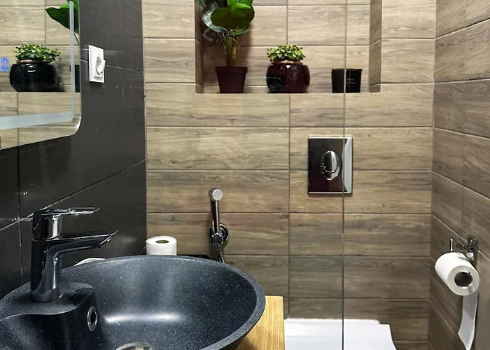 Superior One Bedroom Unirii Square *