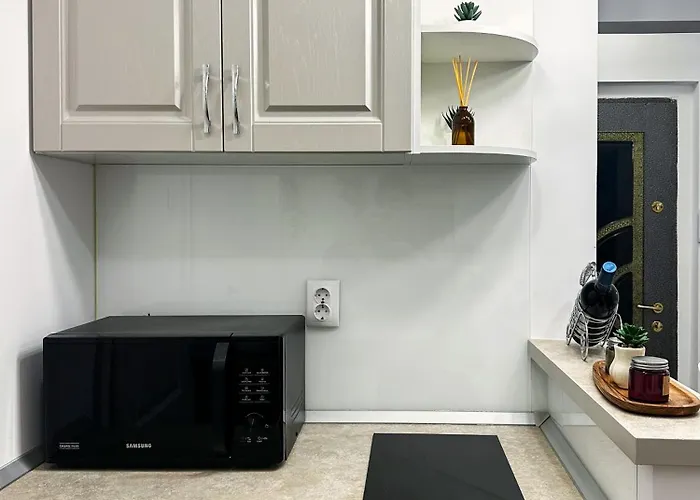 Superior One Bedroom Unirii Square