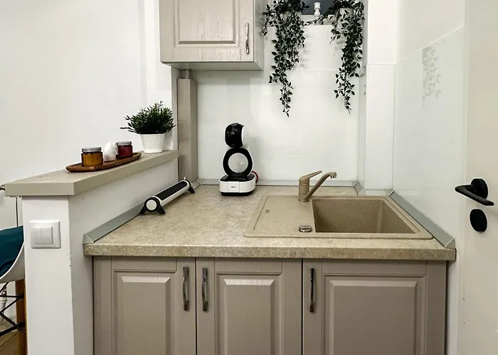 Superior One Bedroom Unirii Square *